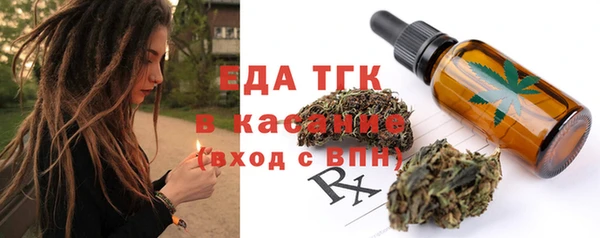 тгк Новозыбков