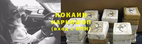 тгк Новозыбков