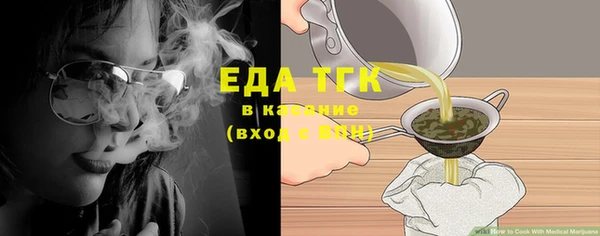 шишки Няндома
