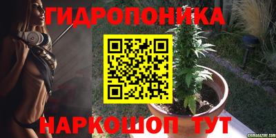 дживик Аргун