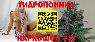 гашик Апрелевка