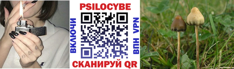 Псилоцибиновые грибы Magic Shrooms  Белгород 