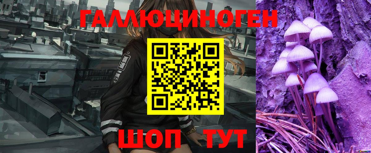 Галлюциногенные грибы мицелий  Белгород  Галлюциногенные грибы Psilocybe 