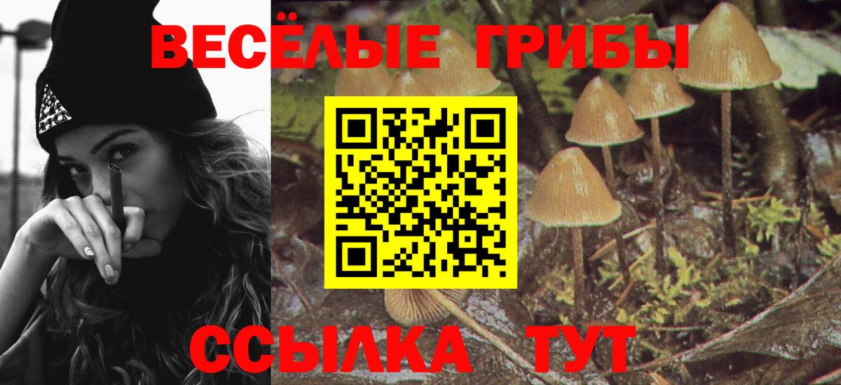 Псилоцибиновые грибы ЛСД Белгород