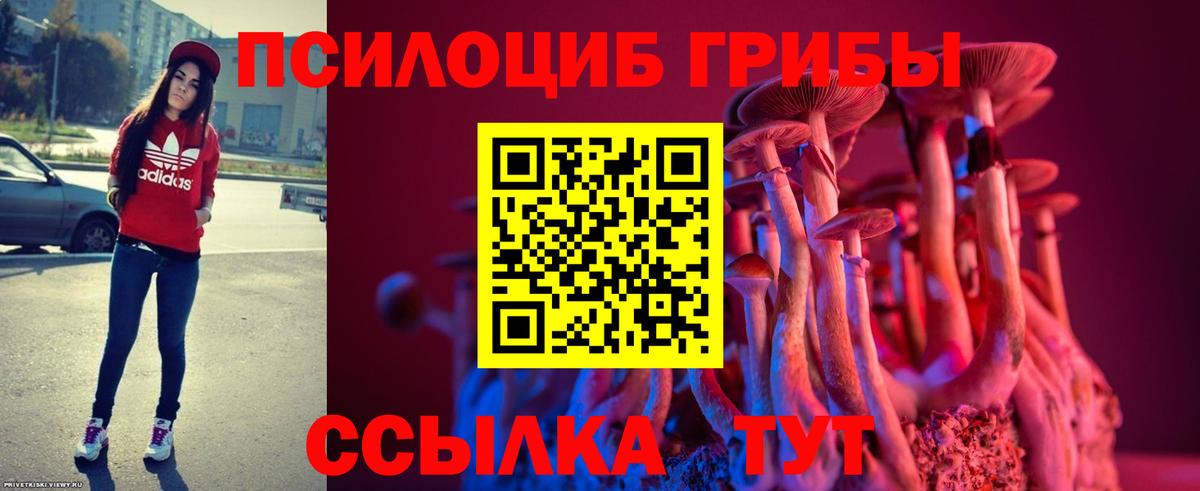 Белгород  Галлюциногенные грибы MAGIC MUSHROOMS  Вход с VPN  Псилоцибиновые грибы прущие грибы 